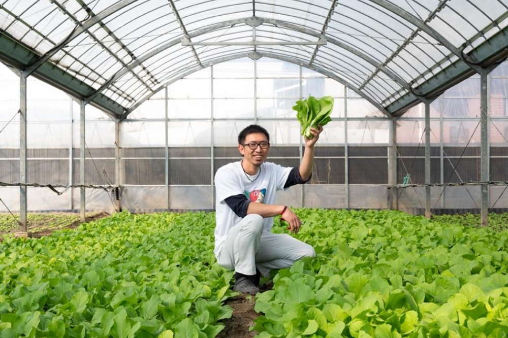 漬物だけじゃない！広島で今一番熱い野菜「ミニ広島菜」とは？｜農業